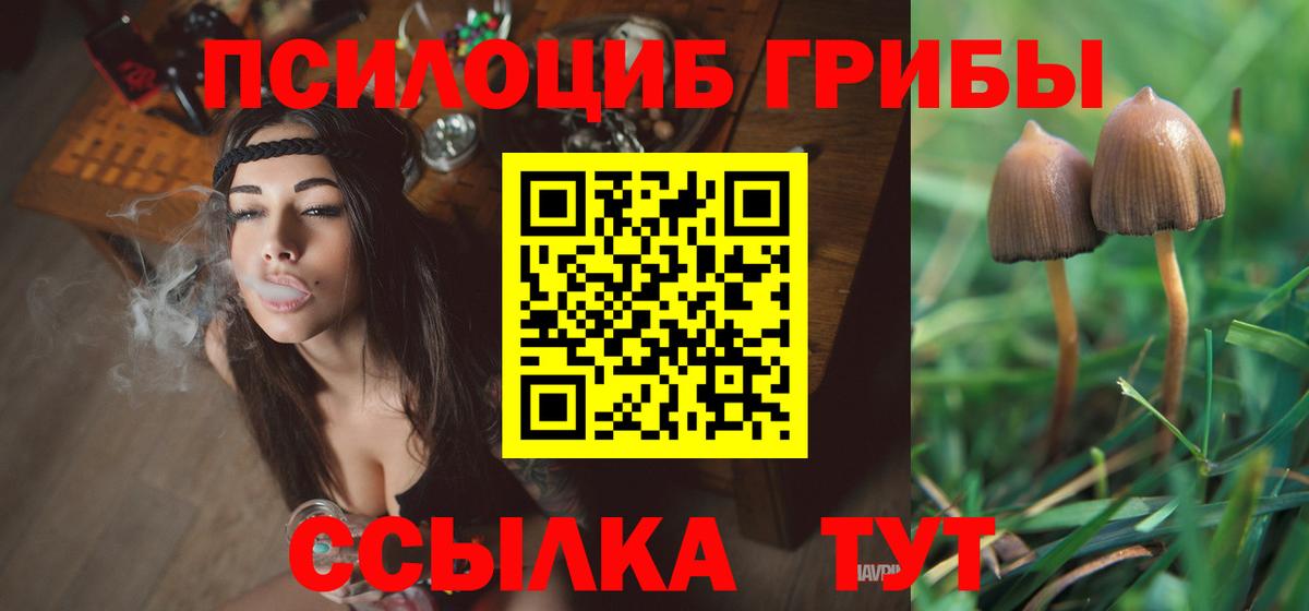 Реж  Галлюциногенные грибы MAGIC MUSHROOMS  Вход с VPN 